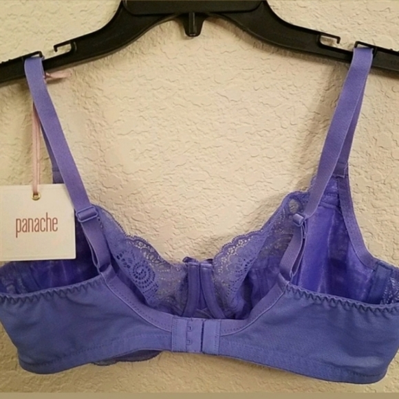 Panache Bra - Picture 6 of 7
